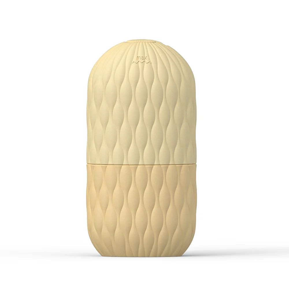 Rouleau de glace pour le visage